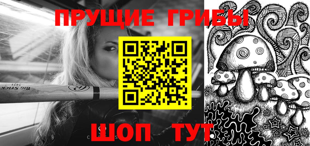 Семёнов  Галлюциногенные грибы Psilocybine cubensis  Вход с VPN 