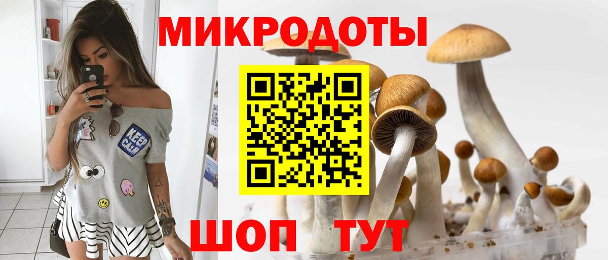 Галлюциногенные грибы MAGIC MUSHROOMS Семёнов