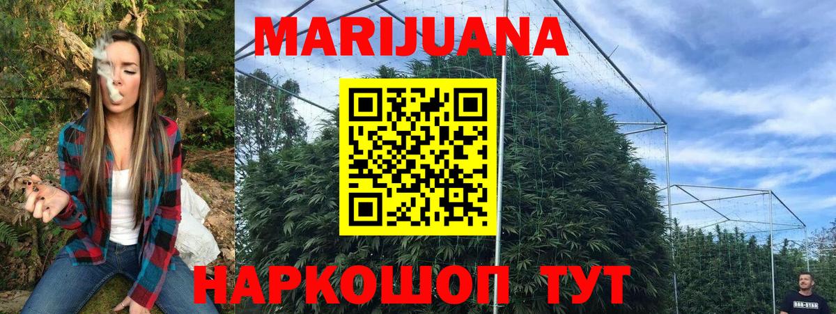 Канабис OG Kush  Вход с VPN  Каннабис сатива  Семёнов 